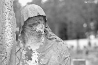 /album/fotogalerie-sochy/dsc-3657-jpg/