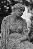 /album/fotogalerie-sochy/dsc-3821-jpg/