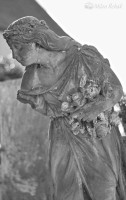 /album/fotogalerie-sochy/dsc-3860-jpg/