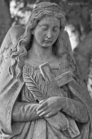 /album/fotogalerie-sochy/dsc-4069-jpg/