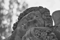 /album/fotogalerie-sochy/dsc-4466-jpg/