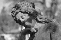 /album/fotogalerie-sochy/dsc-4717-jpg/