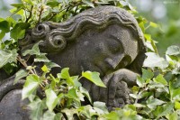 /album/fotogalerie-sochy/dsc-5037-jpg/